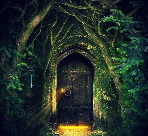 Journey Beyond Reality: Discovering the Enchantment of the Magical Door